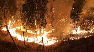 Incendios en Chile.1