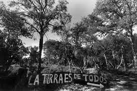 descarga (10)