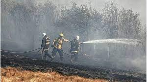 parana incendios
