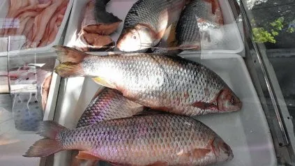 pescado-pescaderiajpg