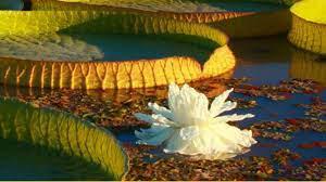 parque nacional Islas de Santa Fe 1