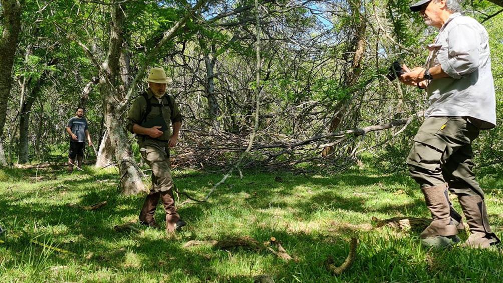 617460191f111_1004x565