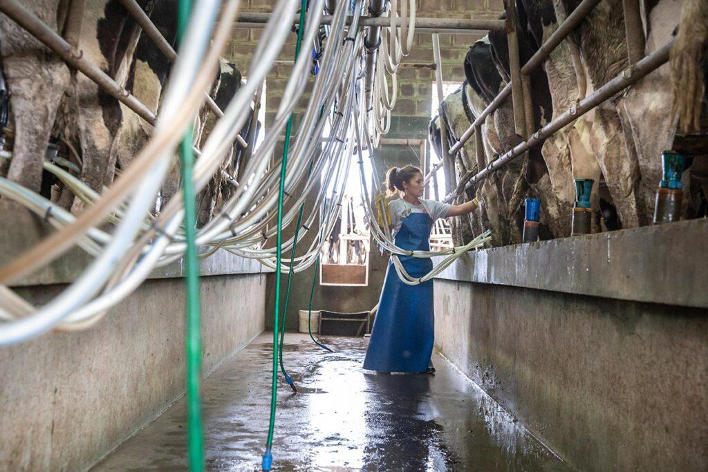 precio-de-la-leche-0017-1024x683