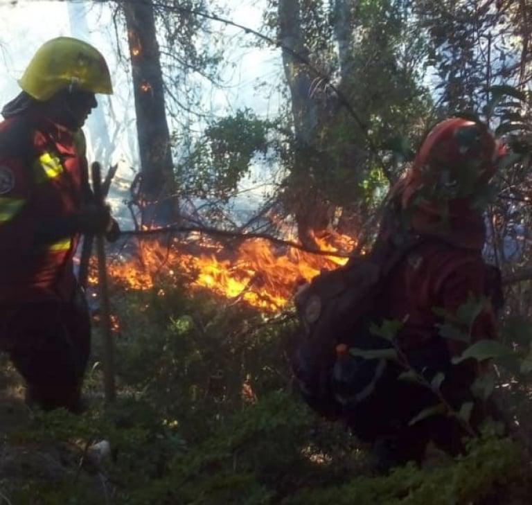 Incendio en Chubut 1