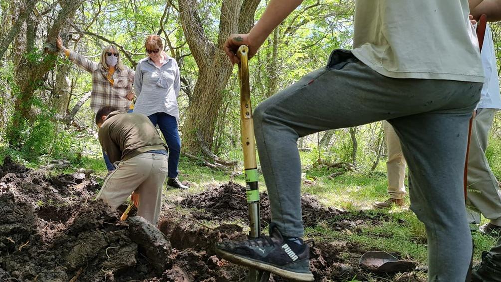 617460192ae26_1004x565