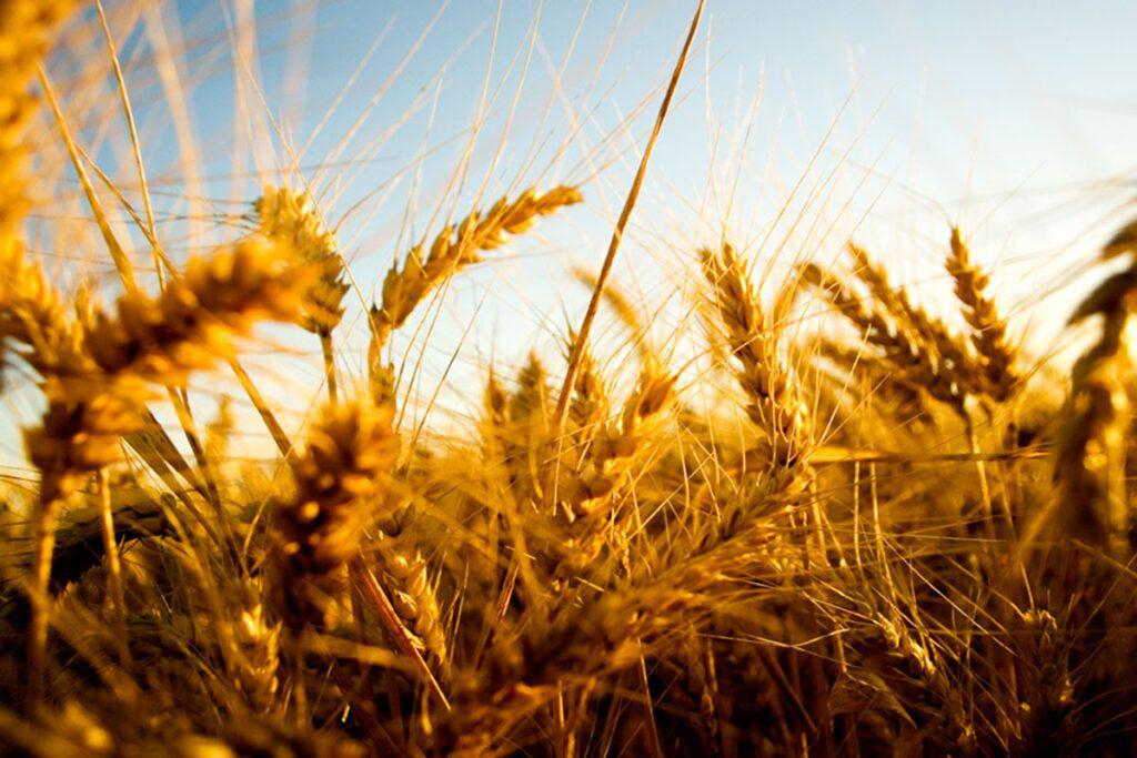 17B82280-111A-45DF-836C-400554E2CF3E-1024x683