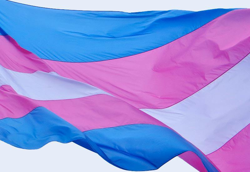 bandera_trans