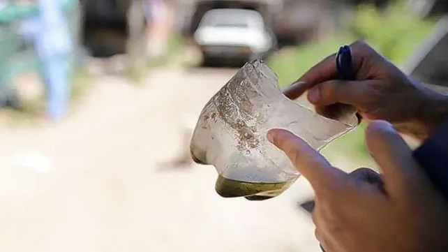 dengue-descacharradojpg