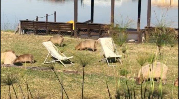 611d032e39445_700_387!