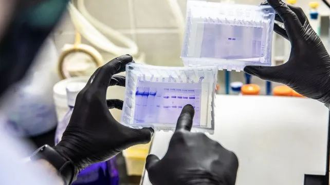 vacunacion-rabia-senasa-2jpg