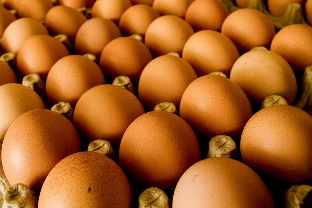 precio-alimentos-pollo-002-1024x683