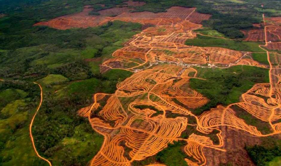 deforestacion-amazonas-940x556