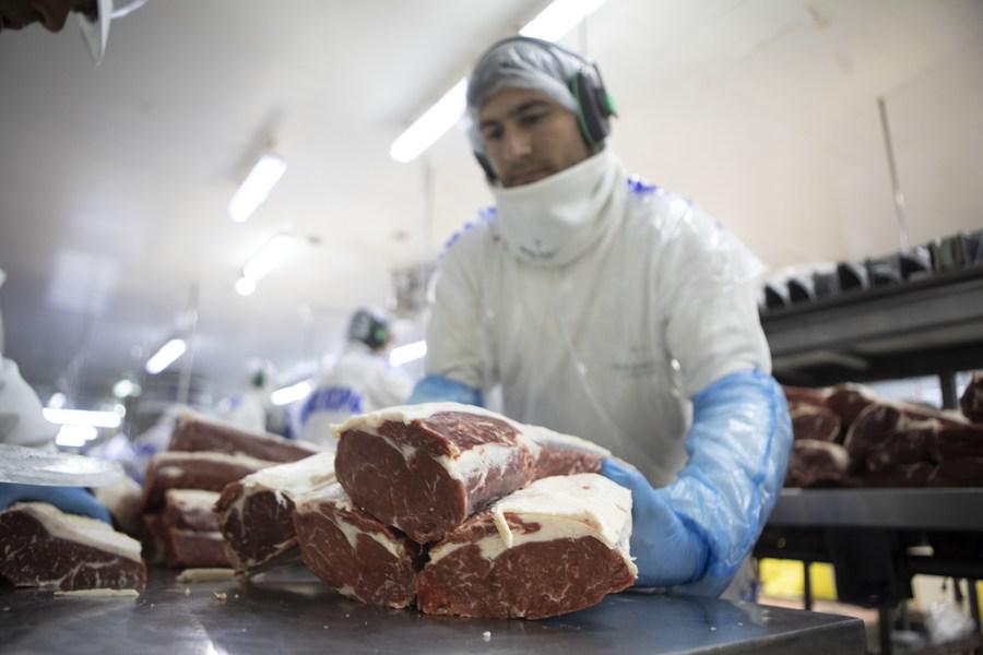 carne bobina  exportaciòn 1