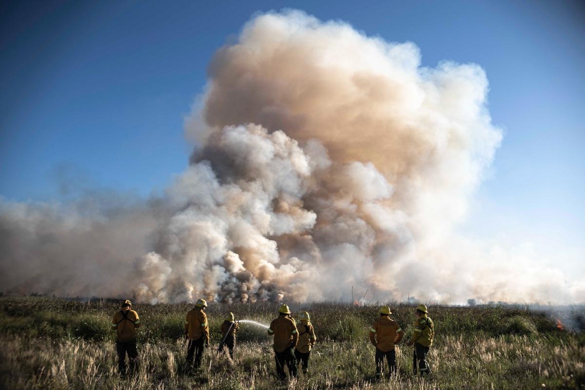 incendio-humedales01