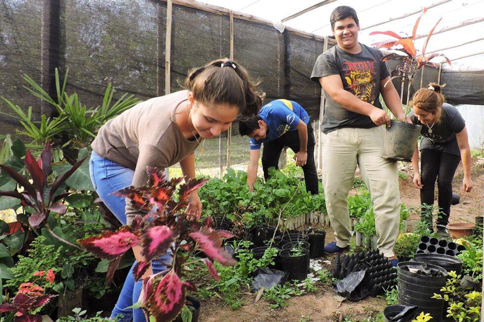 segundo-congreso-agroecologia-01-980x653