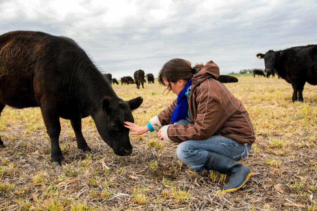 carne-agroecologica03-1024x683