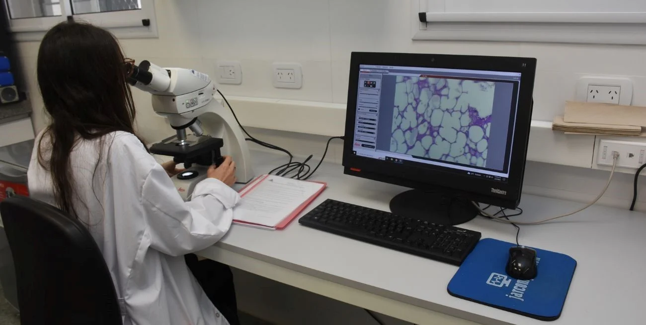 Laboratorio quimico forense