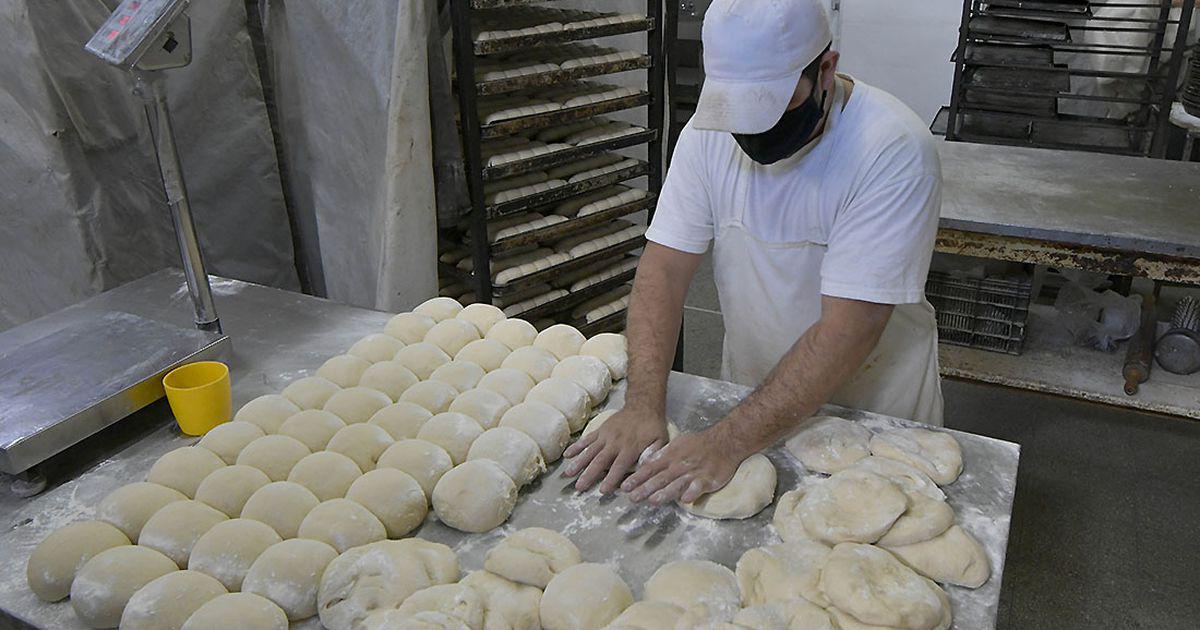 7JAFV73N7NASHLINIXGELWOOZU