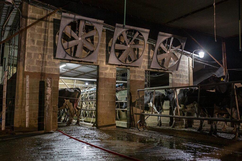 precio-de-la-leche-007-1024x683