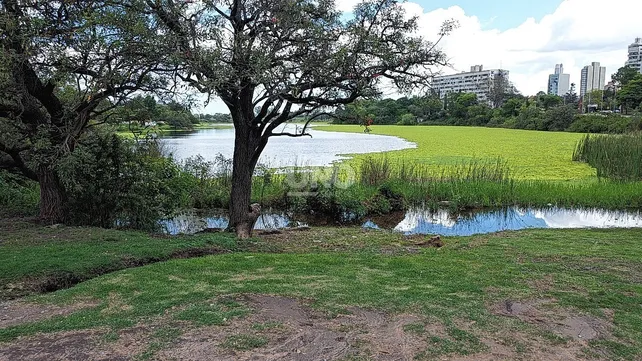 parque-del-sur-lago-repollitos-plantasjpg