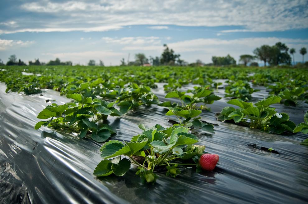 6121511975_200de099fe_o