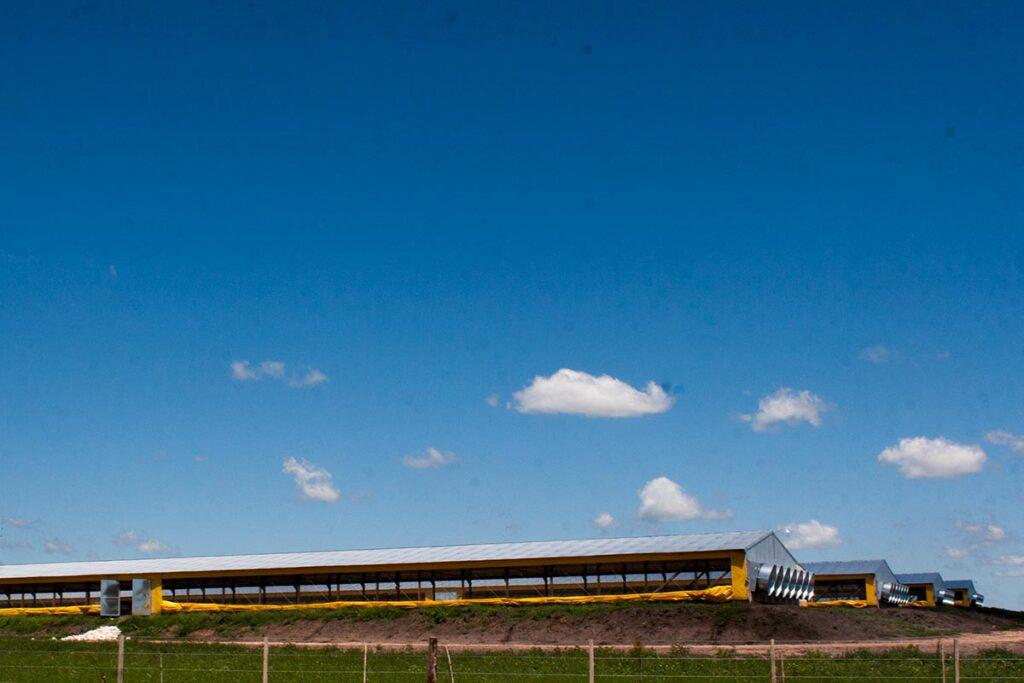 precio-alimentos-pollo-02-1024x683