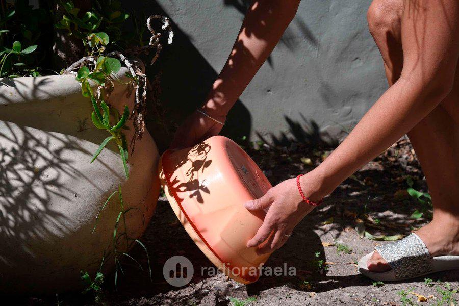 Dengue en Santa Fe 1