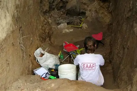 Equipo de antropología forense