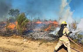 Incendios en Chile