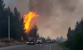 Incendios en Patagonia