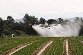 Fumigaciones