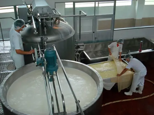 industria-lactea-leche-tina-produccion-queso-elaboracion