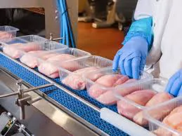 Productora avícola 2