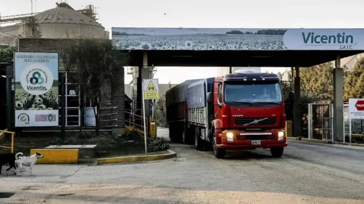 vicentin-213jpg