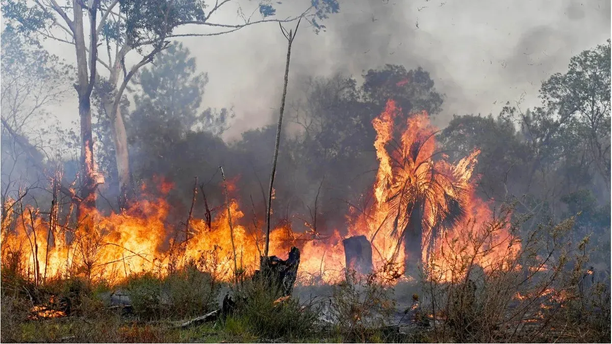corrientes-fuego-miles-hectareas-arrasadas-los-incendios