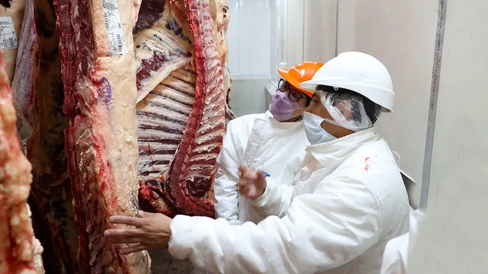 Carne