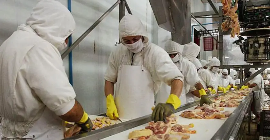 Industria Avícola 1