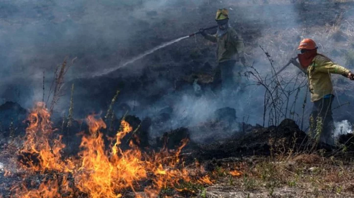Brigadistas en Chubut