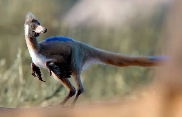 Dinosaurio en Santa Cruz