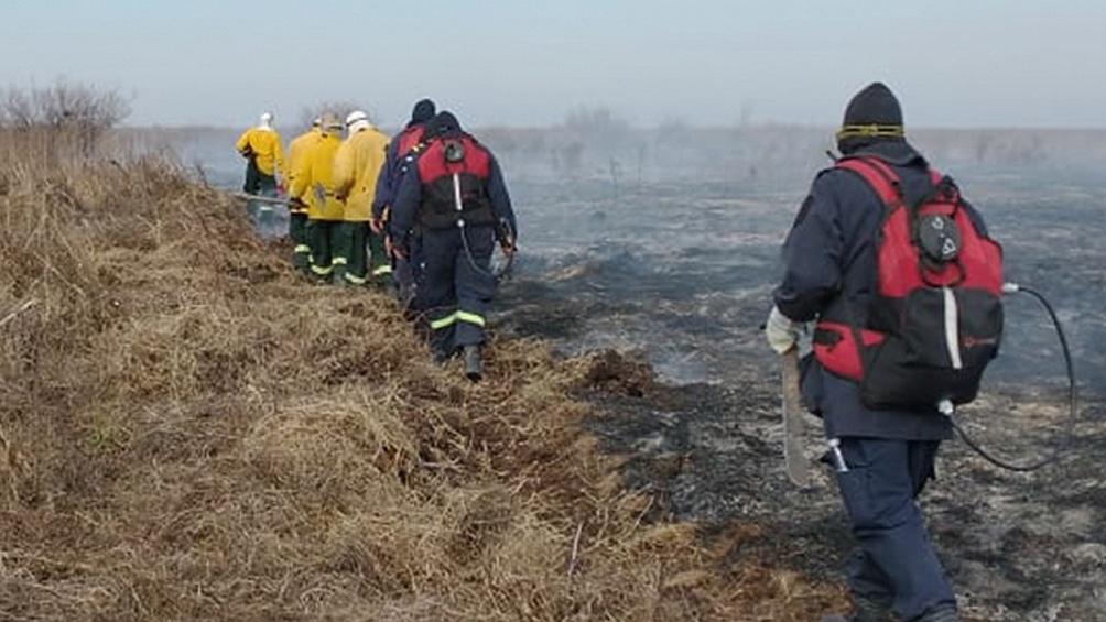 610185ffeaefa_1004x565