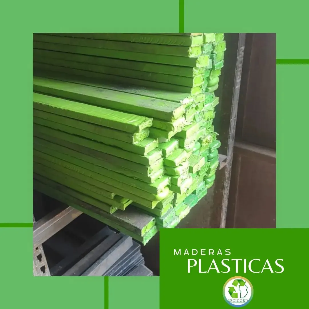 358528727_1150511162568348_919524591620401631_n