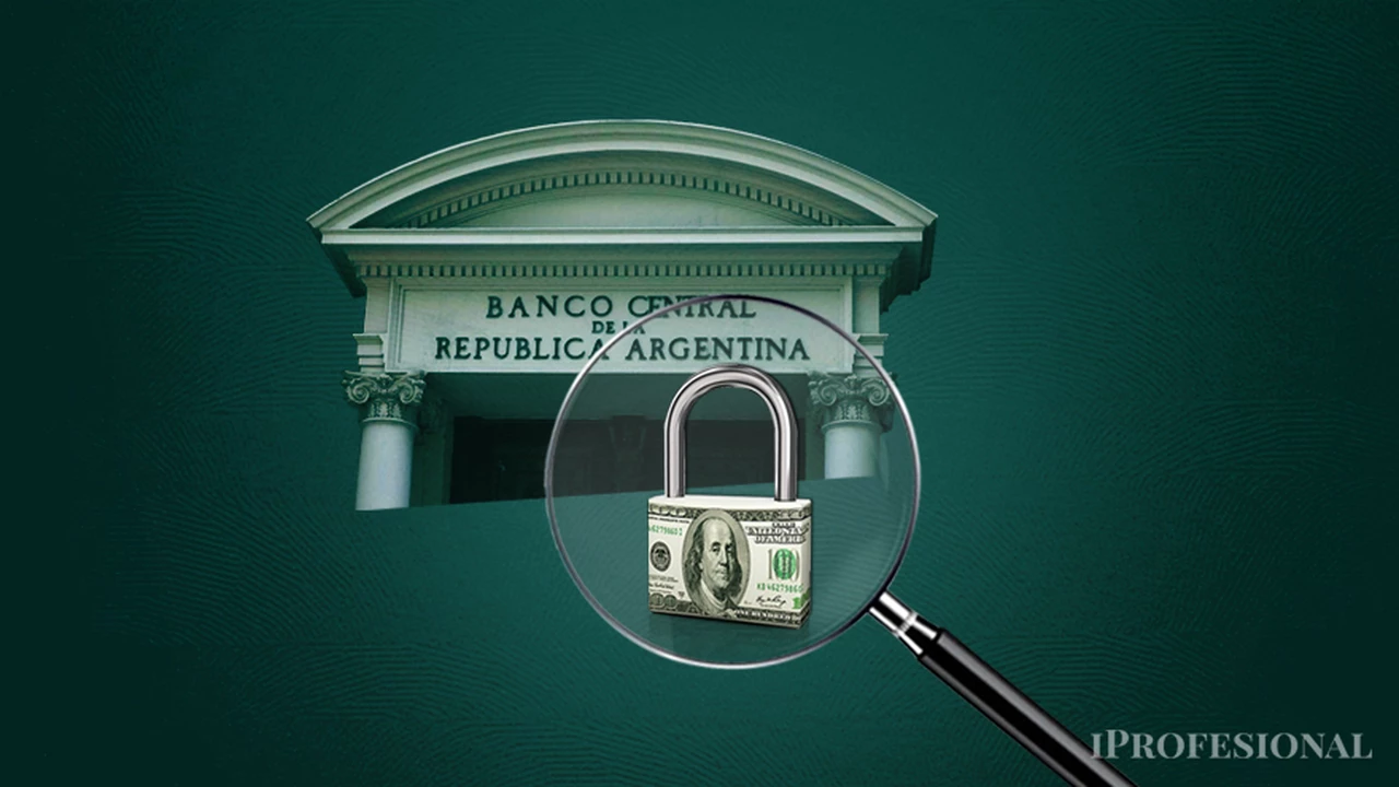 Cepo al dólar