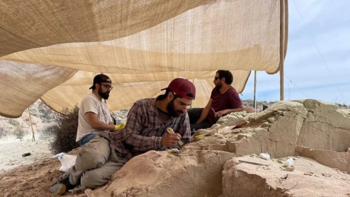 Huevo de dinosaurio 2