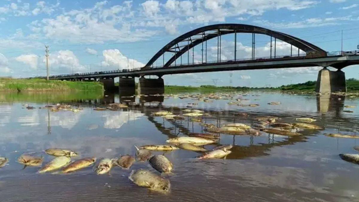 contaminaciòn del rio salado en Santa fe