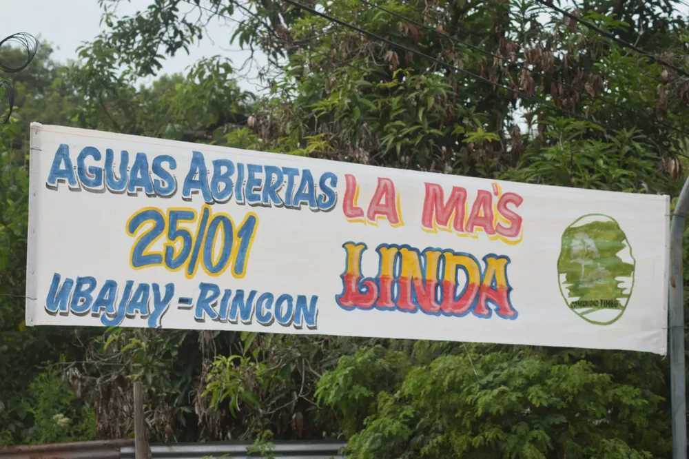 5172879107346336644 (2)