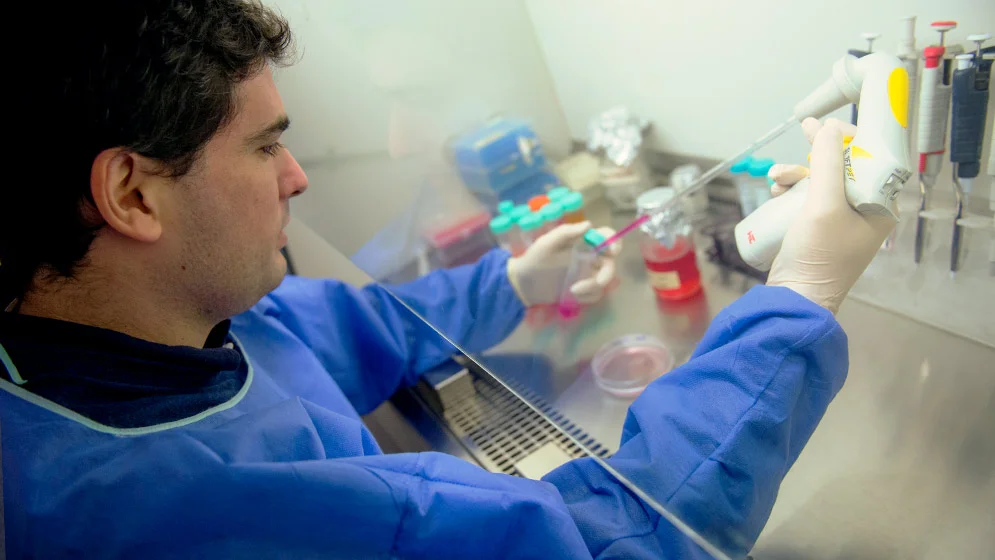 Conicet virus del dengue