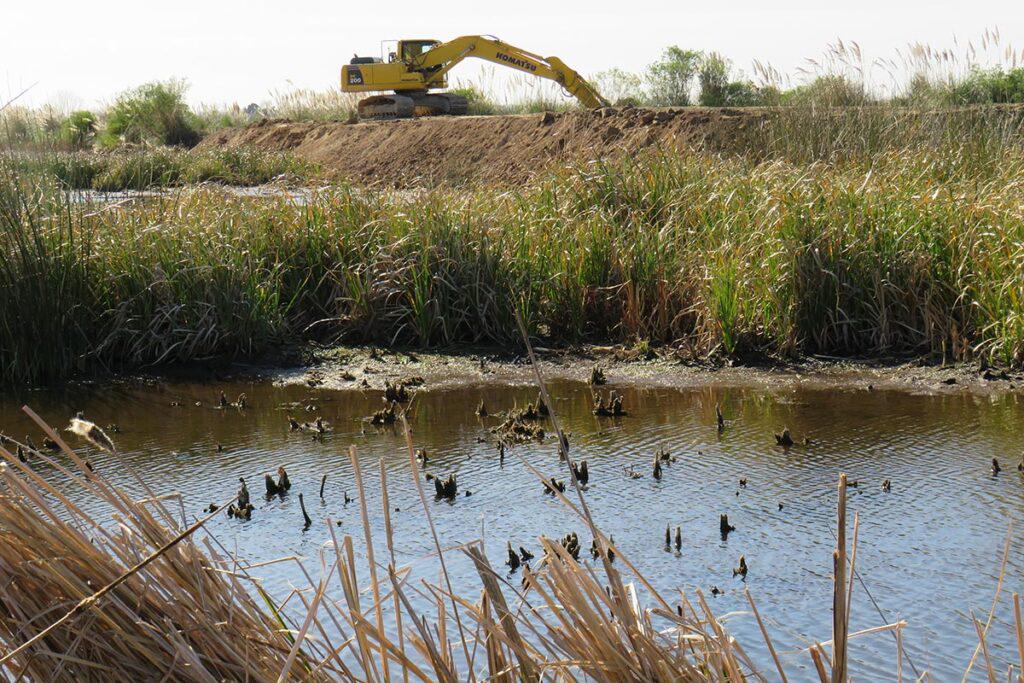 humedales-pablo_varela-003-1024x683
