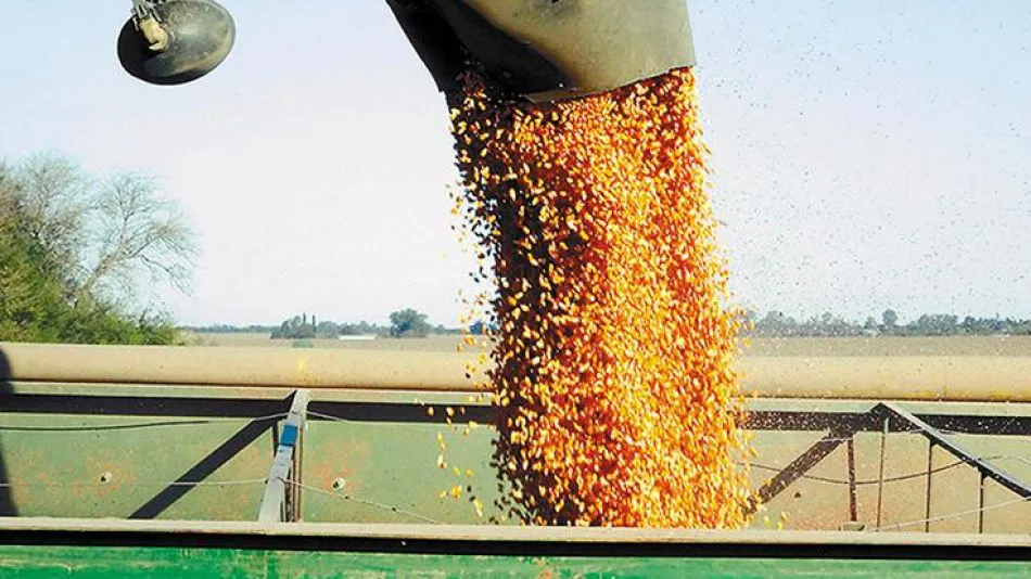 5ff79b80e1b5a_950_534!