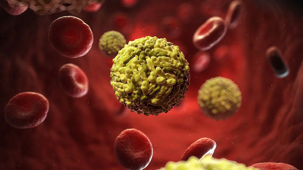 virus del dengue