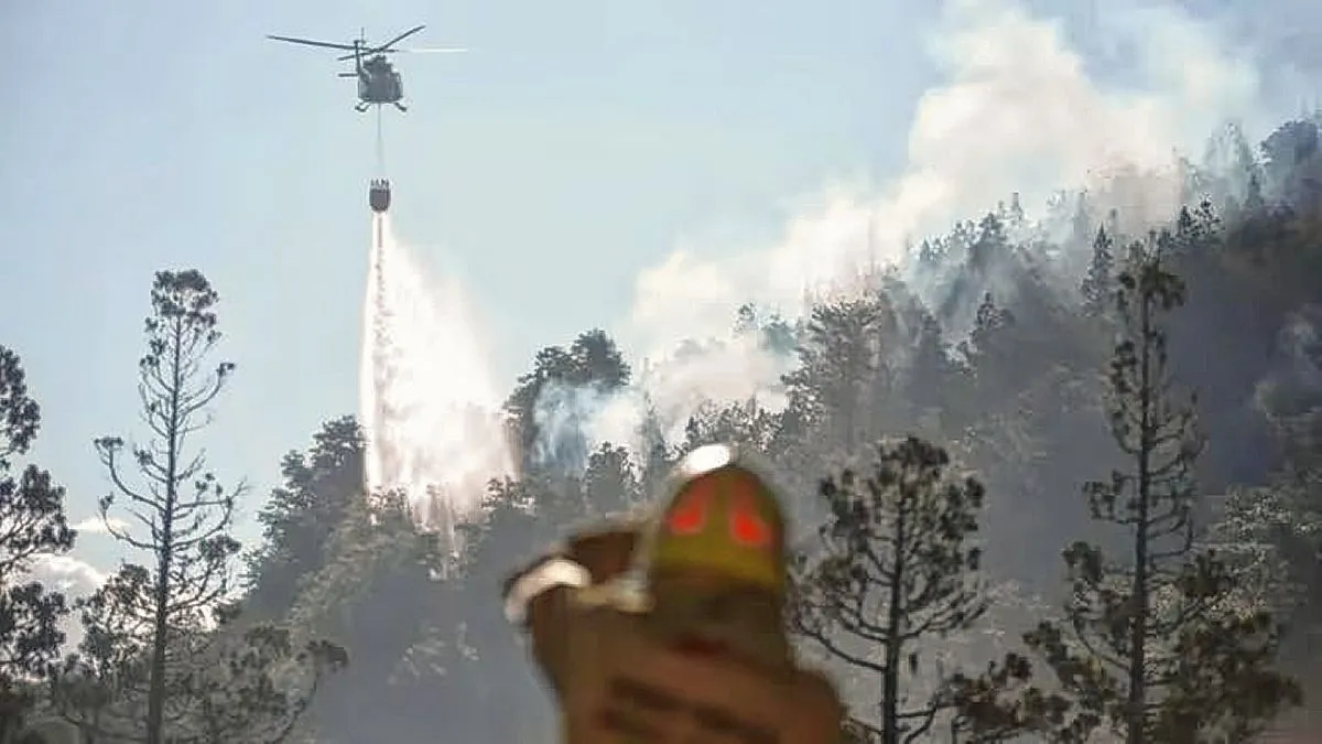 Brigadistas en Chubut 1